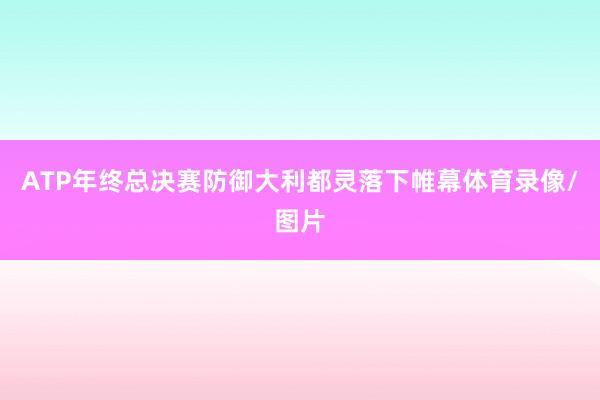 ATP年终总决赛防御大利都灵落下帷幕体育录像/图片