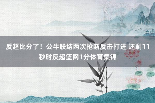 反超比分了！公牛联结两次抢断反击打进 还剩11秒时反超篮网1分体育集锦